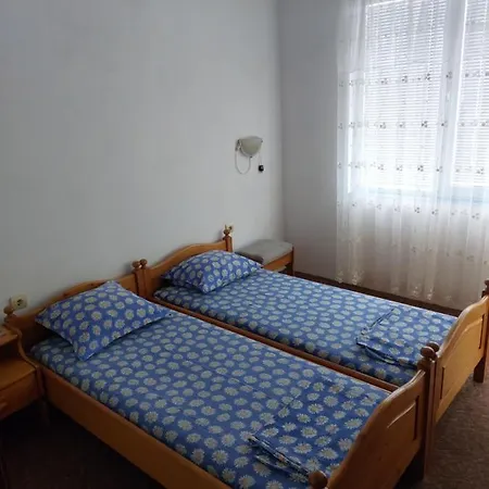 Guest house - Viktor 2*